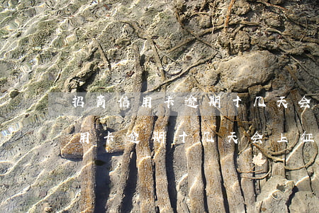 招商信用卡逾期十几天会上征信吗-招商信用卡逾期十几天会上征信吗知乎
