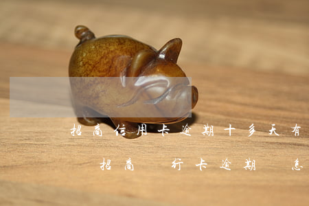 招商信用卡逾期十多天有污點(diǎn)嗎(招商銀行卡逾期會怎么樣)