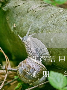 招商信用卡逾期十多萬(招商信用卡7000逾期兩年)