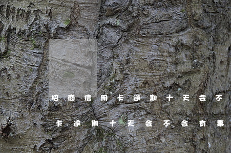 招商信用卡逾期十天会不会有事-招商信用卡逾期十天会不会有事情发生