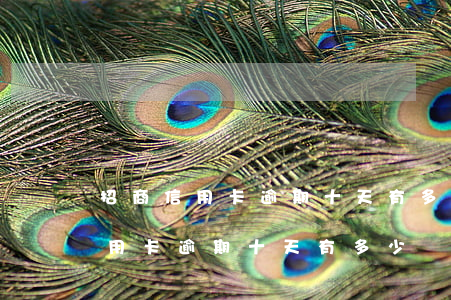 招商信用卡逾期十天有多少滯納金-招商信用卡逾期十天有多少滯納金啊