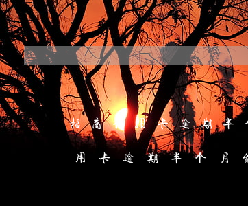 招商信用卡逾期半个月能上征信吗-招商信用卡逾期半个月能上征信吗知乎