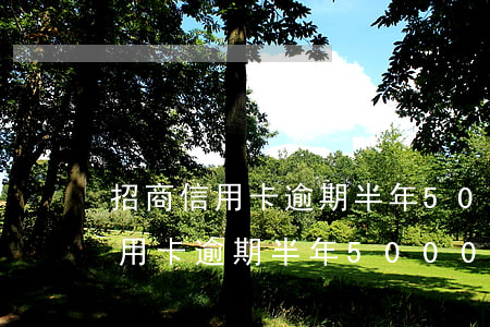 招商信用卡逾期半年5000多塊-招商信用卡逾期半年5000多塊怎么辦