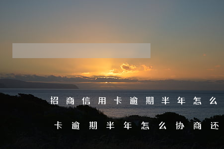 招商信用卡逾期半年怎么协商还款(招商信用卡逾期半年怎么协商还款)