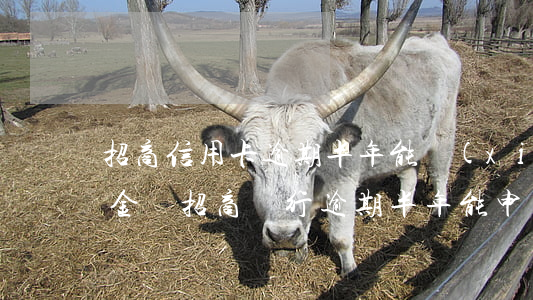 招商信用卡逾期半年,能協(xié)商還本金嗎?(招商銀行逾期半年能申請一次性還款減免違約金嗎)