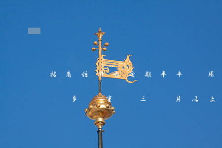 招商信用卡逾期半年費用(招商信用卡逾期兩萬多嚴重嗎三個月以上)