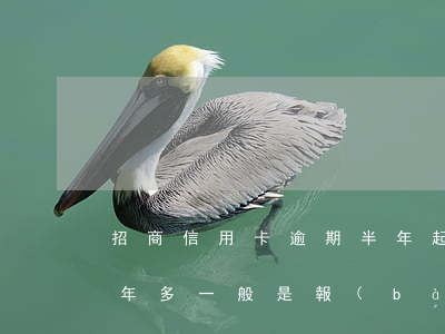招商信用卡逾期半年起訴(招商信用卡逾期一年多一般是報(bào)警還是起訴)