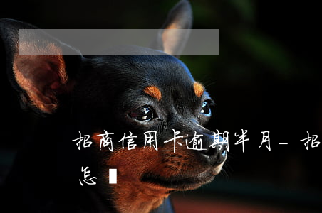 招商信用卡逾期半月-招商逾期半個月了會怎樣