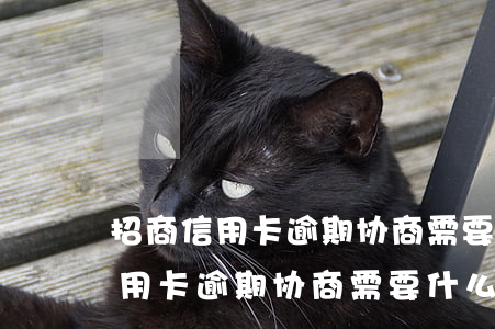 招商信用卡逾期协商需要什么材料-招商信用卡逾期协商需要什么材料和手续