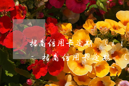 招商信用卡逾期協(xié)商不了怎么辦-招商信用卡逾期協(xié)商不了怎么辦呢