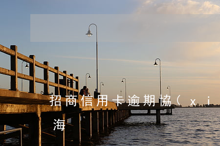 招商信用卡逾期協(xié)商分期方案上海