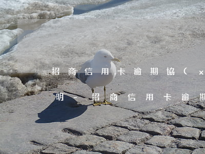 招商信用卡逾期協(xié)商要寫個人說明-招商信用卡逾期協(xié)商要寫個人說明嗎