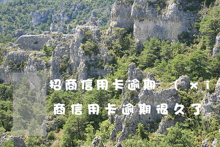 招商信用卡逾期協(xié)商還款技巧(招商信用卡逾期很久了協(xié)商還款有成功的嘛)