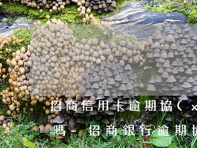 招商信用卡逾期協(xié)商還款能免息嗎-招商銀行逾期協(xié)商還款需不需要前期費(fèi)用