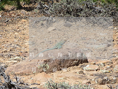 招商信用卡逾期協(xié)議還款(招商信用卡逾期協(xié)商還款后可以繼續(xù)使用嗎)