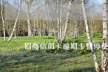 招商信用卡逾期卡暫停使用