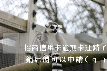 招商信用卡逾期卡注銷了(招商信用卡逾期注銷后還可以申請(qǐng)嗎)