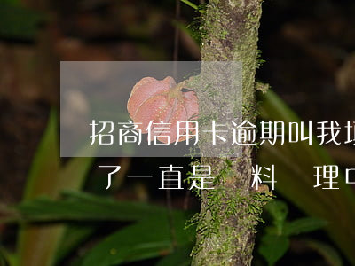 招商信用卡逾期叫我填資料(招商信用卡3天了一直是資料處理中)