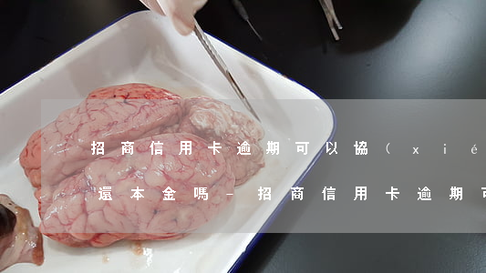 招商信用卡逾期可以協(xié)商一次性還本金嗎?-招商信用卡逾期可以協(xié)商一次性還本金嗎