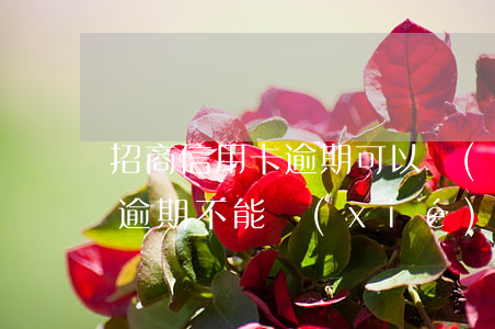 招商信用卡逾期可以協(xié)商么(招商逾期不能協(xié)商)