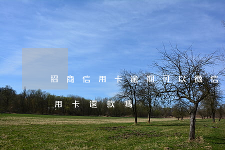 招商信用卡逾期可以微信還款嗎-微信有信用卡還款嗎