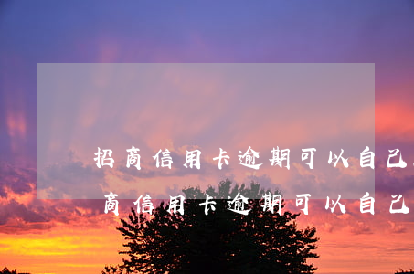 招商信用卡逾期可以自己跟银行协商吗-招商信用卡逾期可以自己跟银行协商吗