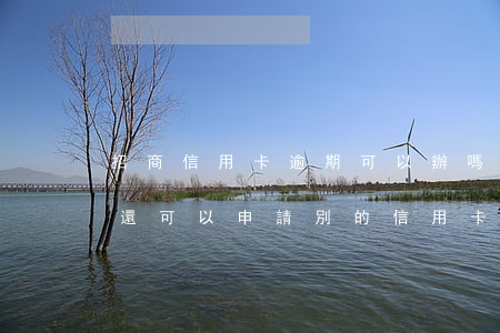 招商信用卡逾期可以辦嗎(招商信用卡逾期了還可以申請別的信用卡嗎)