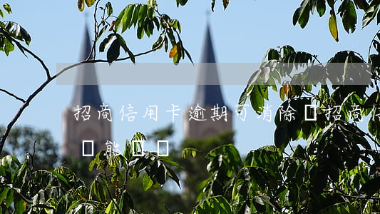 招商信用卡逾期可消除嗎(招商信用卡逾期了還能辦嗎)