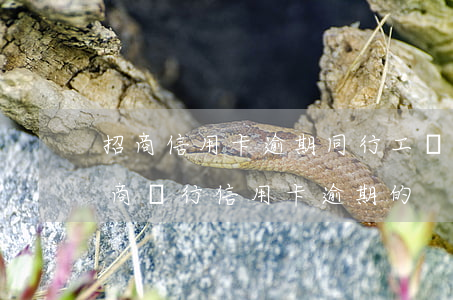 招商信用卡逾期同行工資卡能用嗎 有沒有招商銀行信用卡逾期的