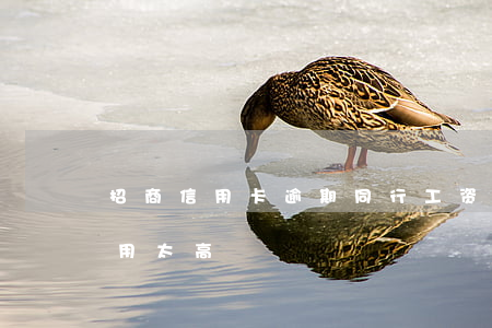 招商信用卡逾期同行工资(招商信用卡逾期费用太高)