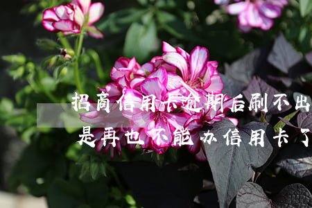 招商信用卡逾期后刷不出来(招行逾期过是不是再也不能办信用卡了)