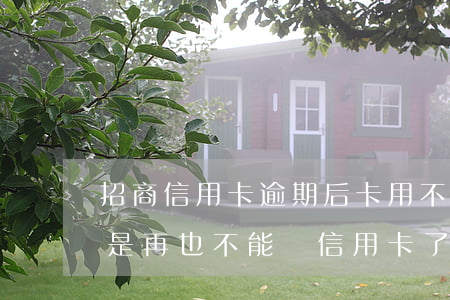 招商信用卡逾期后卡用不了(招行逾期過是不是再也不能辦信用卡了)