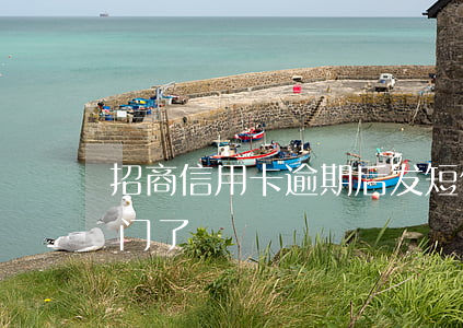 招商信用卡逾期后发短信上门-招商逾期上门了