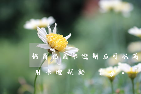 招商信用卡逾期后可以延期嗎(2020年信用卡逾期新規(guī)定招商銀行)