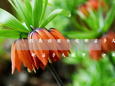 招商信用卡逾期后多久能申請(招商信用卡逾期后多久能申請分期)