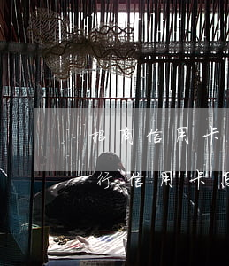 招商信用卡逾期后怎么办理吗(没办过招商银行信用卡怎么收到短信逾期了)