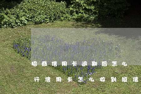 招商信用卡逾期后怎么辦理嗎(沒辦過招商銀行信用卡怎么收到短信逾期了)
