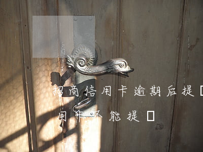 招商信用卡逾期后提額嗎(為什么招商銀行信用卡不能提額)