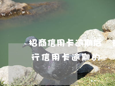 招商信用卡逾期后會有影響嗎(有沒有招商銀行信用卡逾期的)