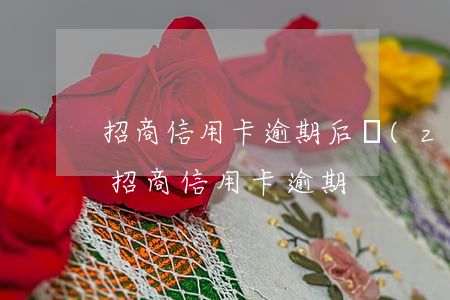 招商信用卡逾期后轉(zhuǎn)第三方(招商信用卡 逾期)