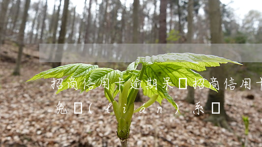 招商信用卡逾期呆賬(招商信用卡逾期呆賬減免聯(lián)系誰)