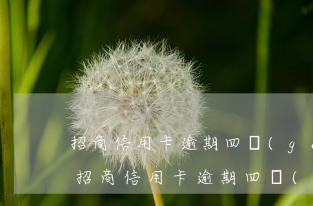 招商信用卡逾期四個(gè)月能解凍嗎-招商信用卡逾期四個(gè)月能解凍嗎