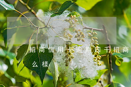 招商信用卡逾期四千 招商信用卡逾期四千怎么樣