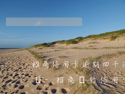 招商信用卡逾期四千法院會(huì)受理嗎-招商銀行信用卡4000逾期