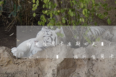 招商信用卡逾期四天會(huì)上門(mén)嗎-招行信用卡逾期4天
