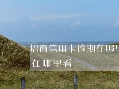 招商信用卡逾期在哪里看-招商信用卡逾期在哪里看記錄