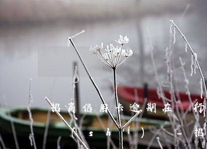 招商信用卡逾期在銀行卡扣錢(qián)時(shí)間-招商信用卡逾期在銀行卡扣錢(qián)時(shí)間怎么算
