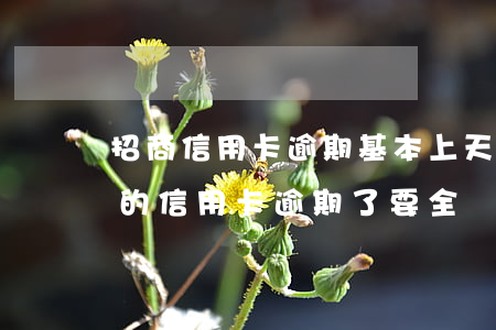 招商信用卡逾期基本上天天還款-招商銀行的信用卡逾期了,要全額還清嗎