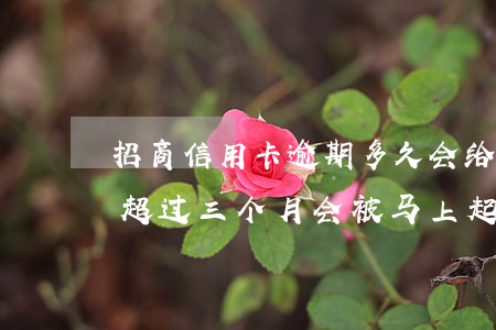 招商信用卡逾期多久会给寄信(欠招商信用卡超过三个月会被马上起诉吗)