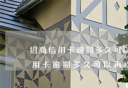 招商信用卡逾期多久可以再次還款-招商信用卡逾期多久可以再次還款啊